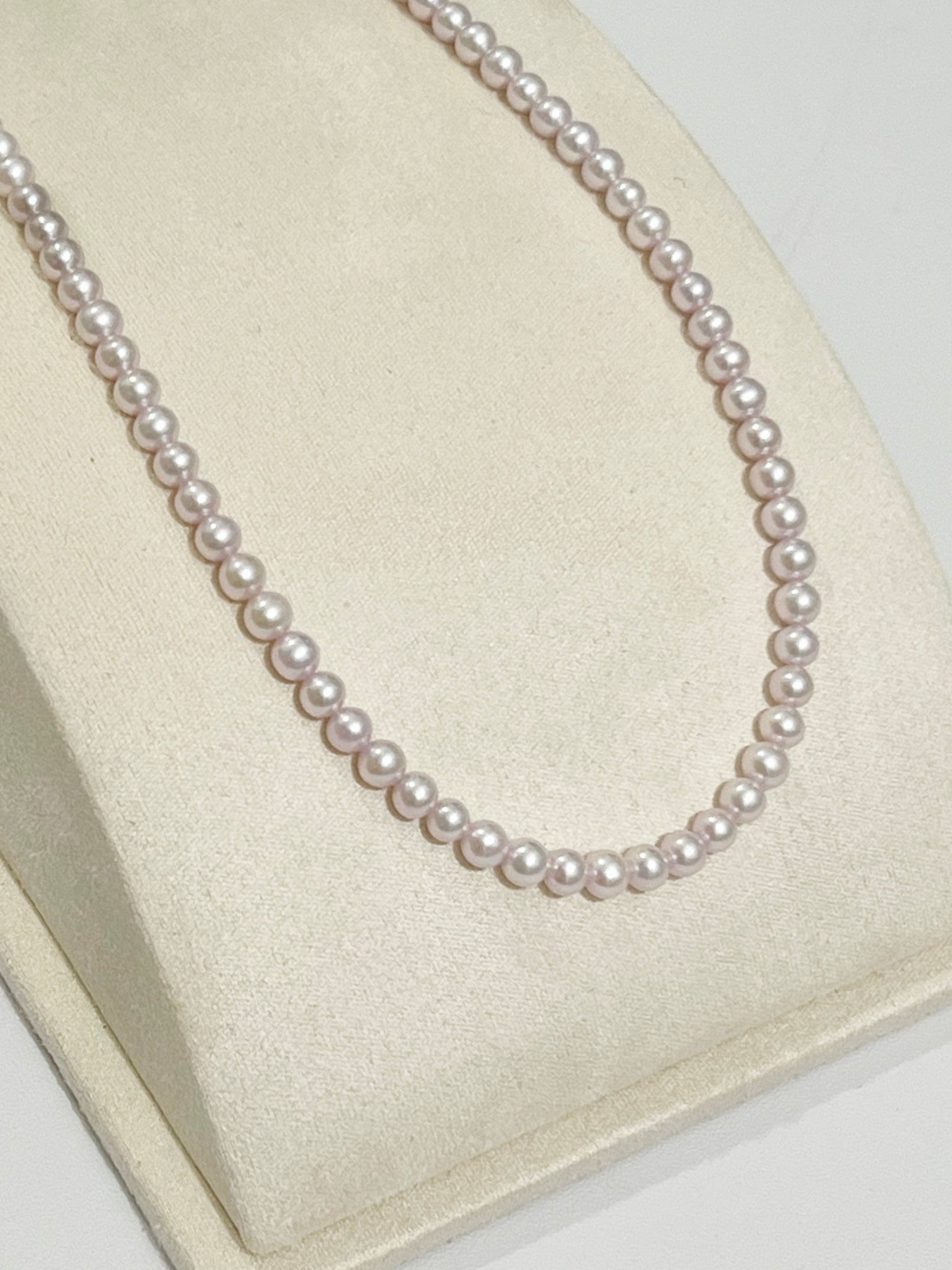 お値下げしました‼️限定⭐️ラジャス ビューティーバー❣️RAJAS New Pieces, New Designs, Renewed Confidence! – RAJAS